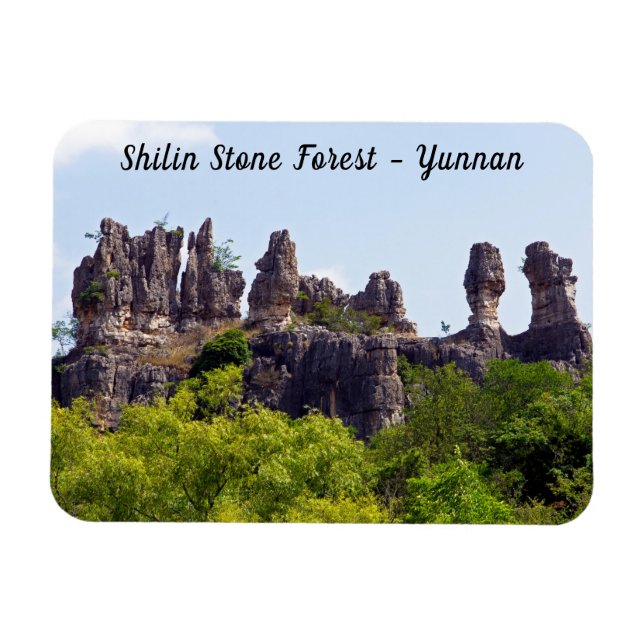 Shilin pinnacles Stone forest - Yunnan,China,Asia Magnet (Horizontal)