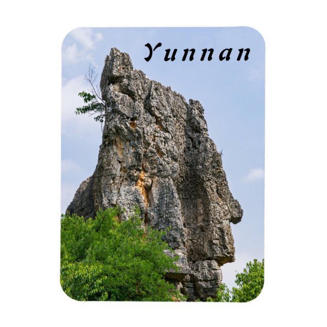 Shilin pinnacles Stone forest - Yunnan,China,Asia Magnet (Vertical)