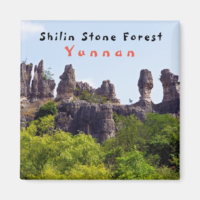 Shilin pinnacles Stone forest - Yunnan,China,Asia Magnet (Front)