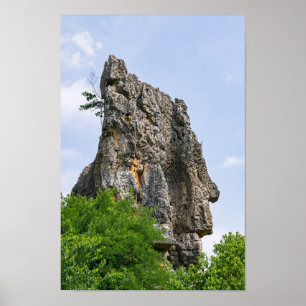 Shilin pinnacles Stone forest - Yunnan,China,Asia Poster