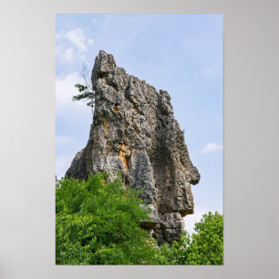 Shilin pinnacles Stone forest - Yunnan,China,Asia Poster