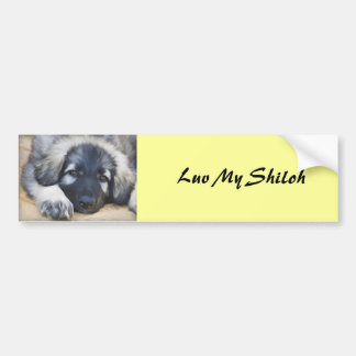 Shiloh Shepherd Bumper Sticker