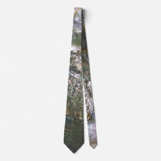 Shimmering Abalone Seashell, Beautiful Nature Tie