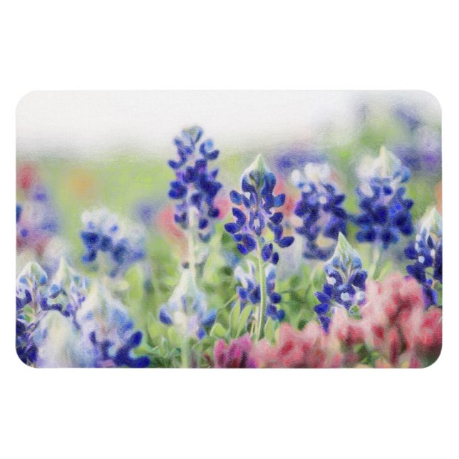 Shimmering Bluebonnets Magnet (Horizontal)