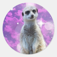Shimmering Charm: Meerkat on Pink Bokeh Background