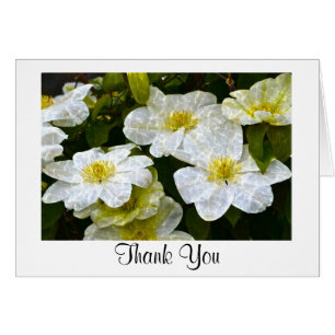 Shimmering Clematis Thank You Card