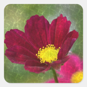Shimmering Cosmos Square Sticker