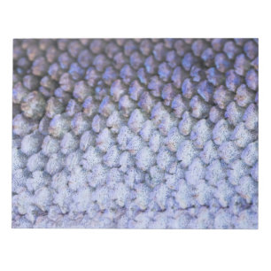 Shimmering Salmon Notepad