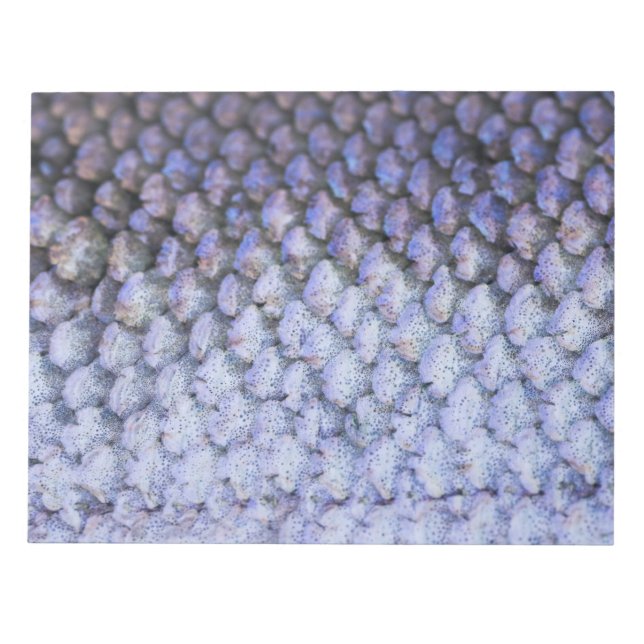 Shimmering Salmon Notepad (Front)