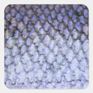 Shimmering Salmon Square Sticker