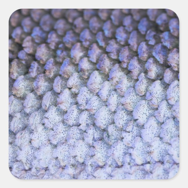 Shimmering Salmon Square Sticker (Front)