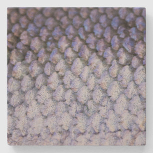 Shimmering Salmon Stone Coaster