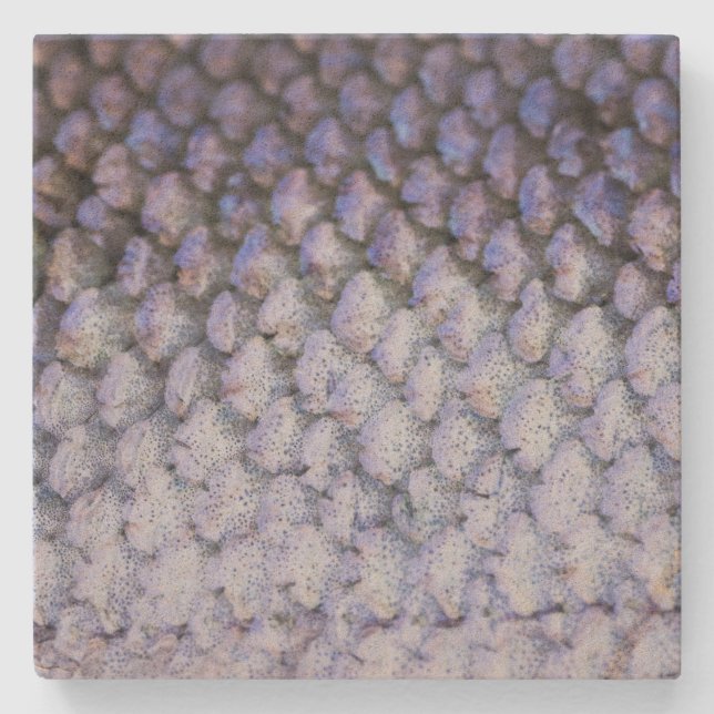 Shimmering Salmon Stone Coaster (Front)
