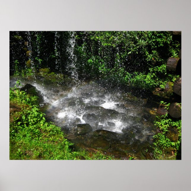 Shimmering Waters Poster (Front)