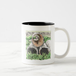 Shinayaji Two-Tone Coffee Mug