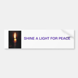 SHINE A LIGHT BUMPER STICKER
