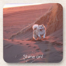 Shine on, coaster set, customisable