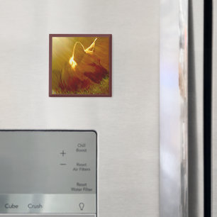 Shine On Me German Shepherd #1 Magnet