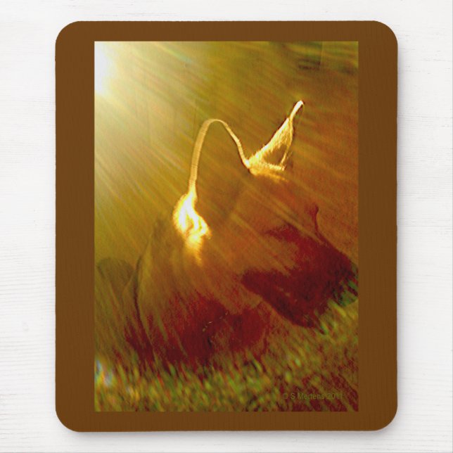 Shine On Me German Shepherd #1 Mouse Pad (Front)