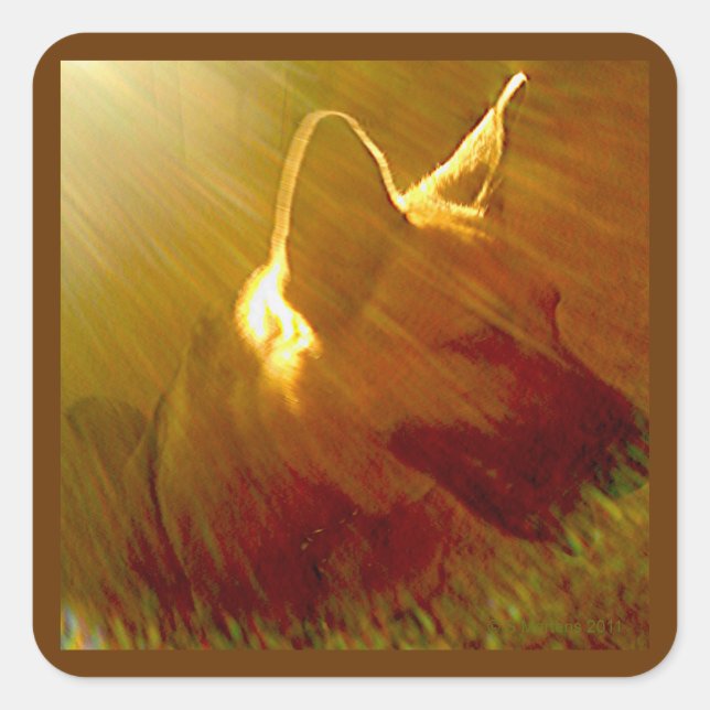 Shine On Me German Shepherd #1 Sticker (Front)