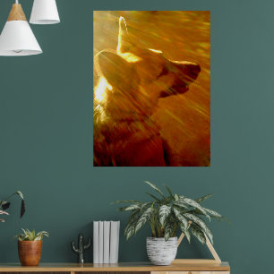Shine On Me German Shepherd #2 Poster