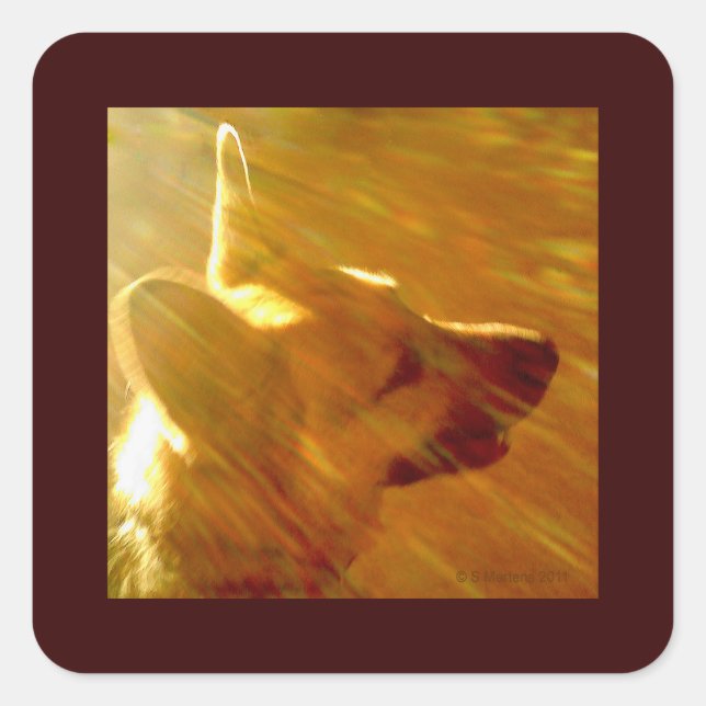Shine On Me German Shepherd #2 Square Sticker (Front)