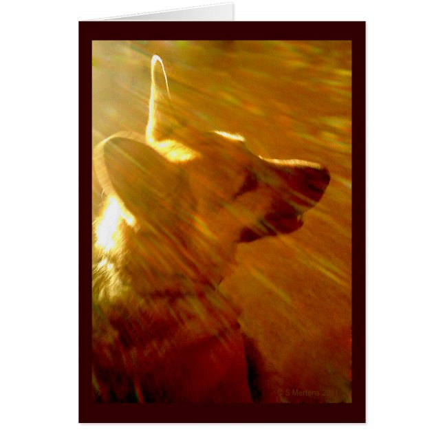 Shine On Me German Shepherd Sympathy Poem Card (Front)