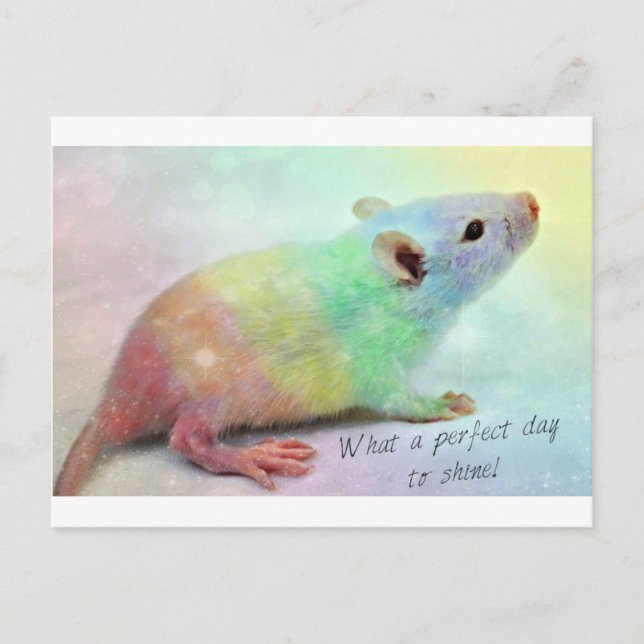 Shine On! Postcard (Front)