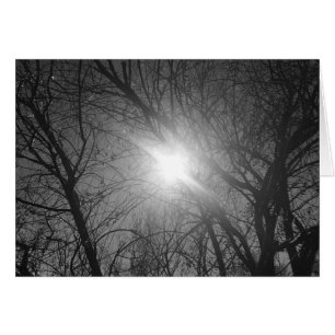 Shine Through - noir, card