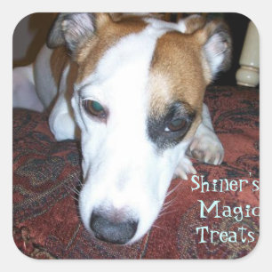 Shiner's Magic Treats Square Sticker
