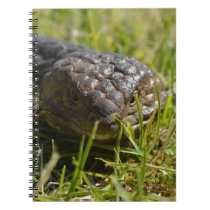 Shingleback Lizard Face, Notebook