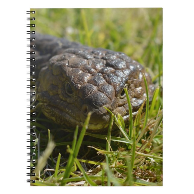 Shingleback Lizard Face, Notebook (Front)