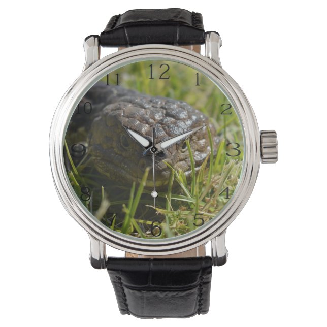 Shingleback Lizard Face,  Watch (Front)