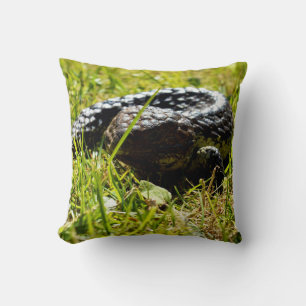Shingleback Lizard On Grass, Cushion