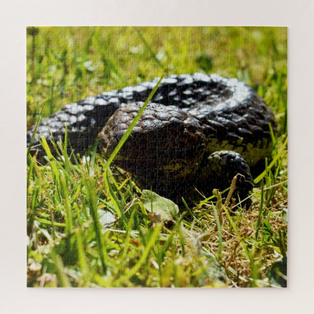 Shingleback Lizard On Grass, Jigsaw Puzzle (Vertical)