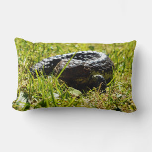 Shingleback Lizard On Grass, Lumbar Cushion