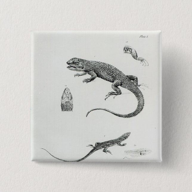Shingled Iguana 15 Cm Square Badge (Front)