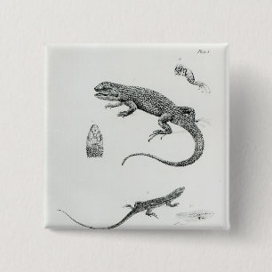 Shingled Iguana 15 Cm Square Badge