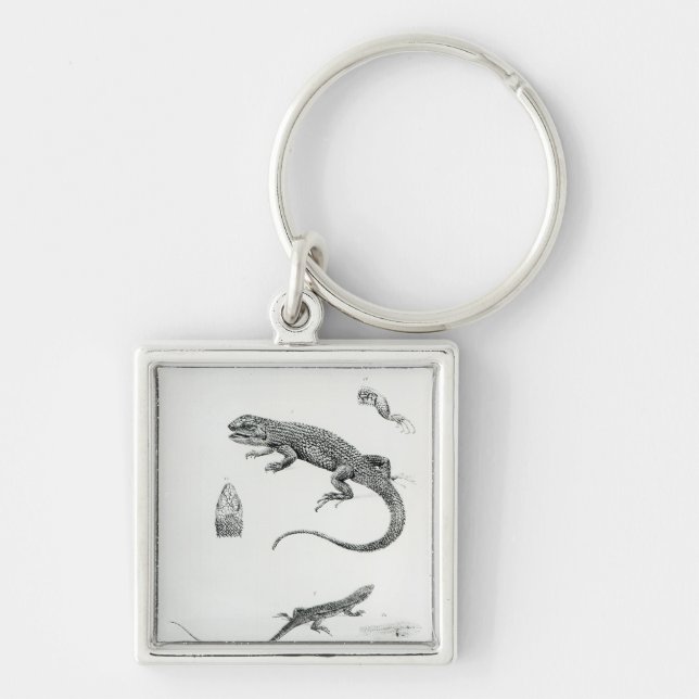 Shingled Iguana Key Ring (Front)