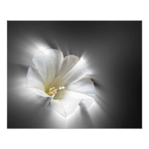 Shining in the dark photo print