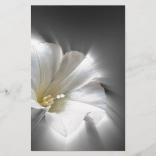 Shining in the dark stationery
