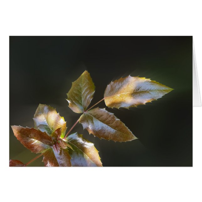 shining leaves (Front Horizontal)