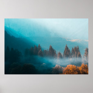 Shining light on foggy autumn forest poster