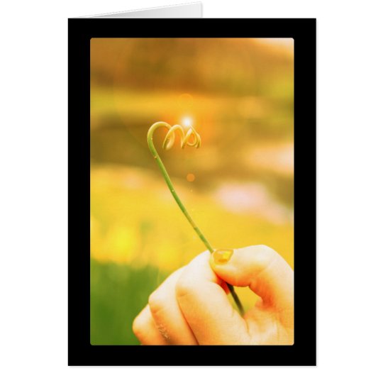 Shining Onion Curl Stem Card