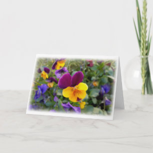 Shining pansies card