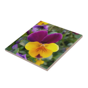Shining pansies ceramic tile