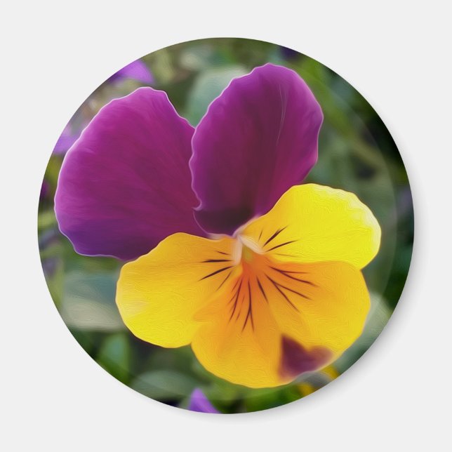 Shining pansies magnet (Front)