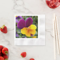 Shining pansies
