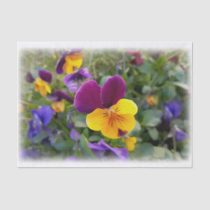 Shining pansies tissue paper