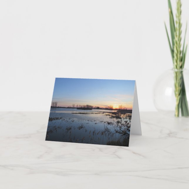 Shining Sunset - Blank Greeting Card (Front)